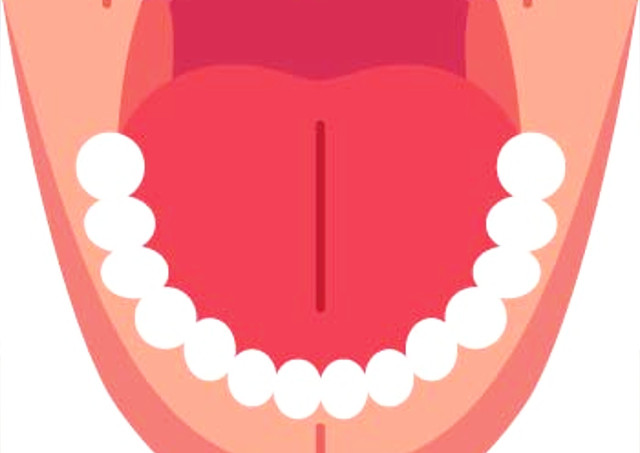 ���O�̋@�\�����܂������Ȃ�