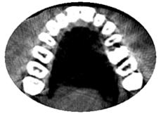 �b�s�Ƌ������Ȏ���